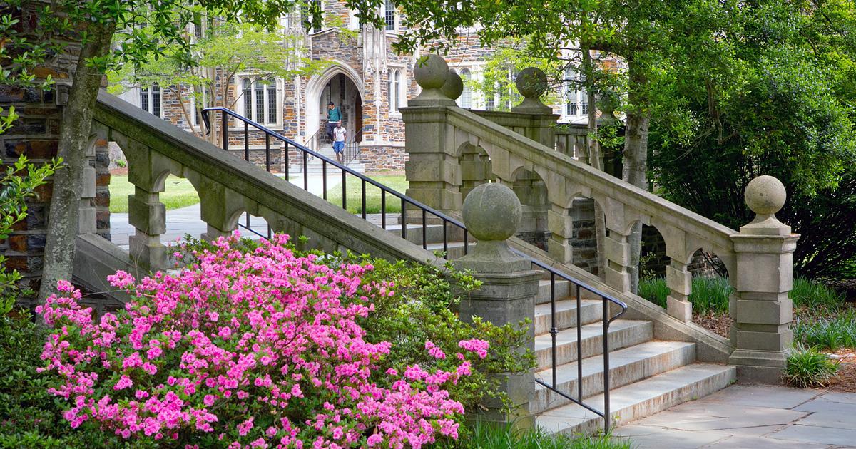 duke-staff-and-faculty-can-designate-gender-identity-pronouns-duke-today